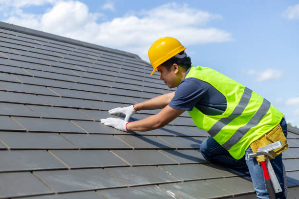 Best Roof Gutter Cleaning  in Suitland, MD