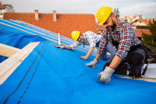 Best Roof Maintenance Services  in Suitland, MD