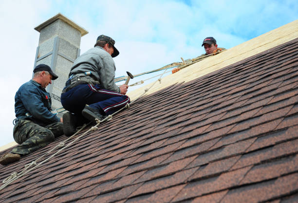 Roof Gutter Cleaning in Suitland, MD